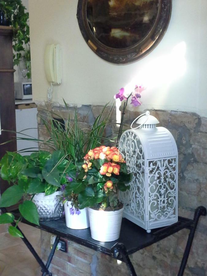 B&B Happiness In The Country Brescello Exteriér fotografie